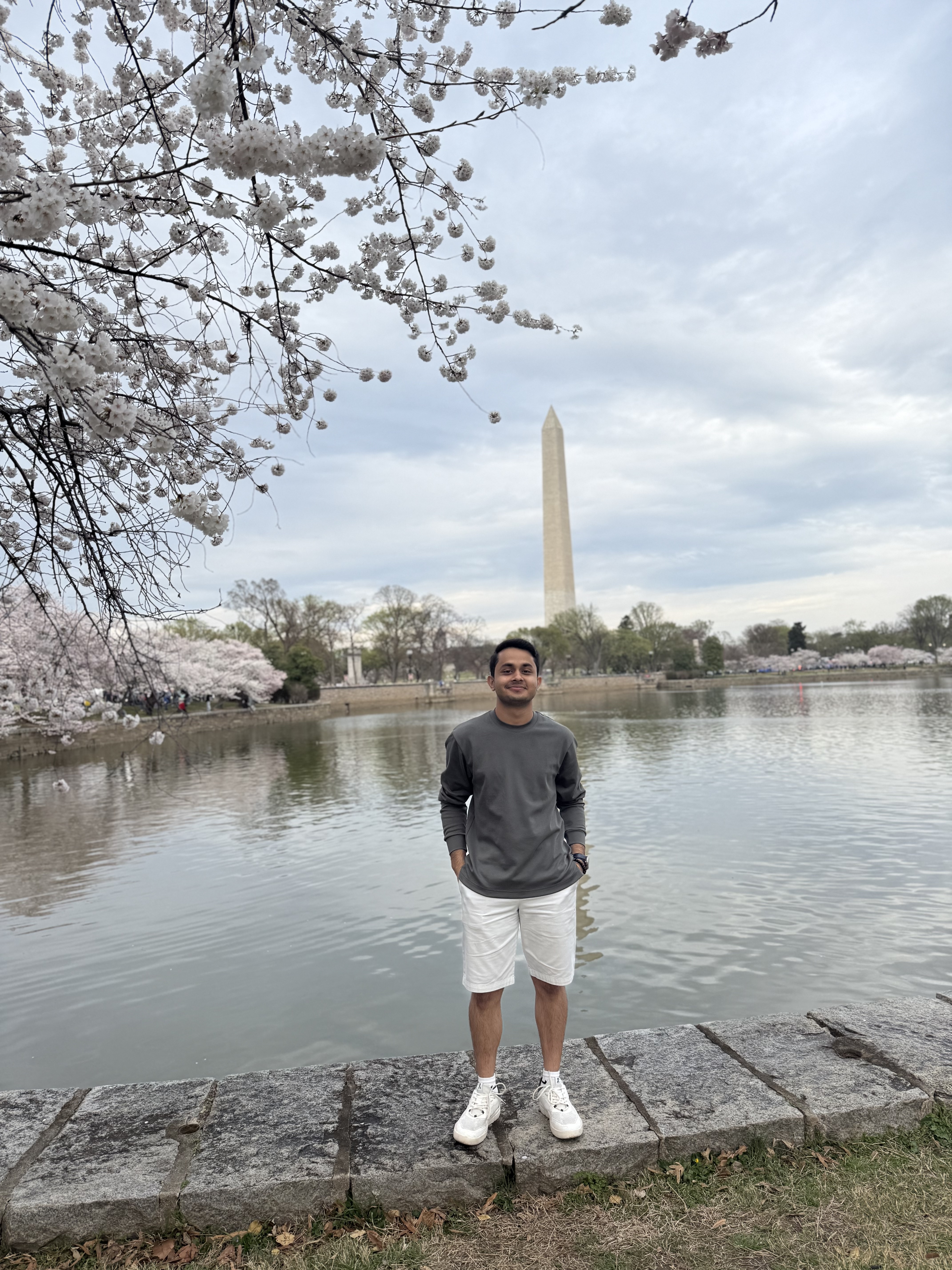 Cherry blossoms, Washington DC